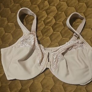 Elegant Lace Trimmed Bra in Cream